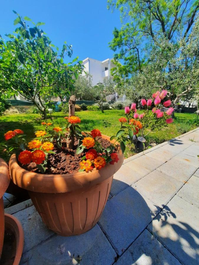 Apartment Noa'S Garden ビビニェ エクステリア 写真