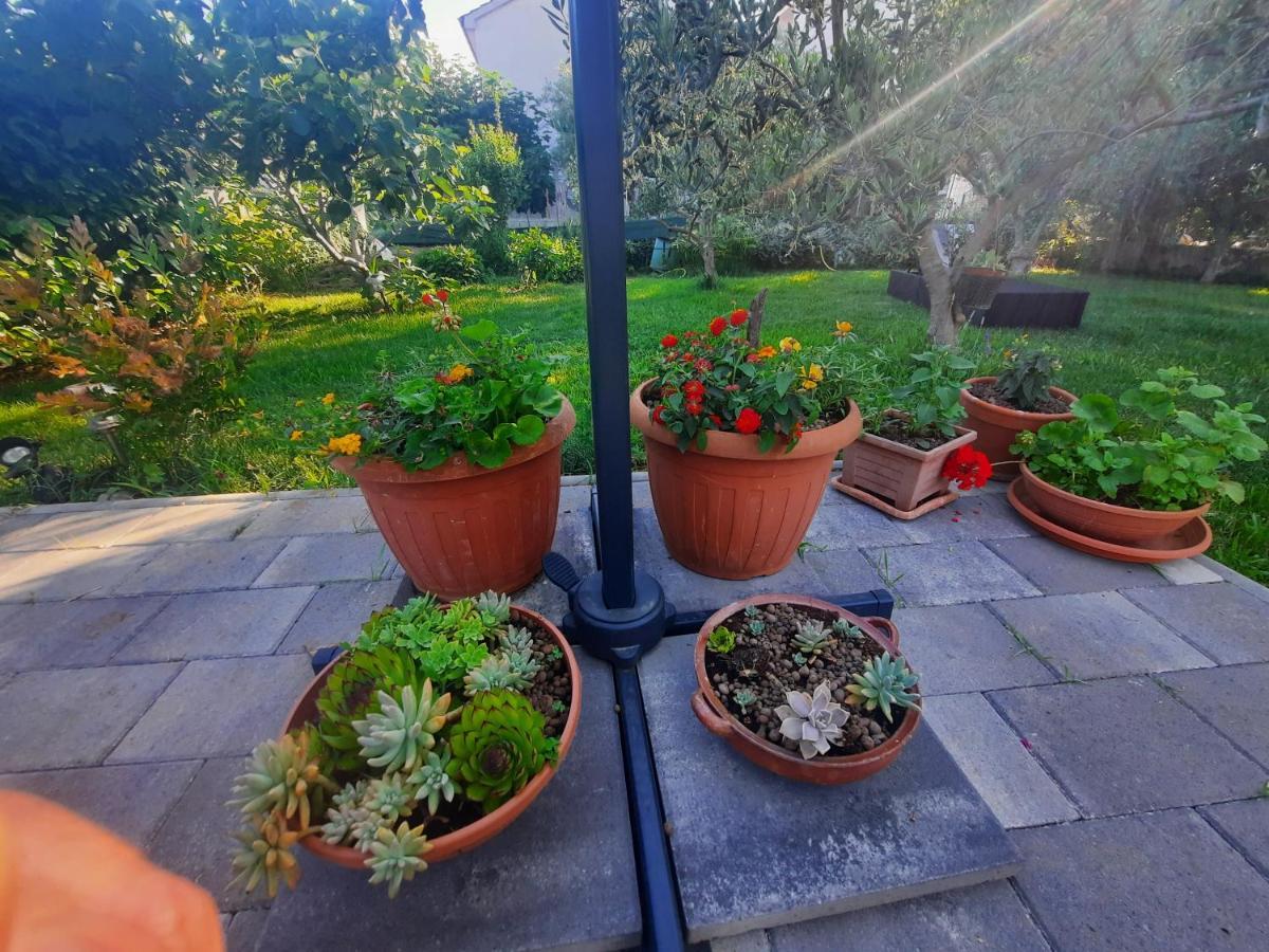 Apartment Noa'S Garden ビビニェ エクステリア 写真