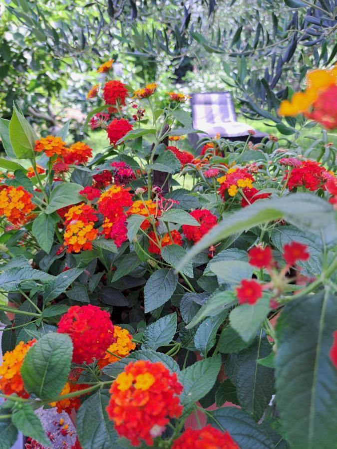 Apartment Noa'S Garden ビビニェ エクステリア 写真